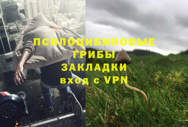 героин Алзамай