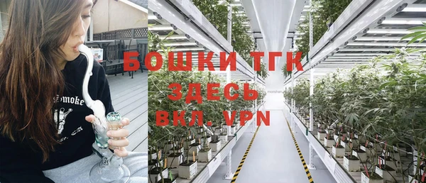 спайс Няндома