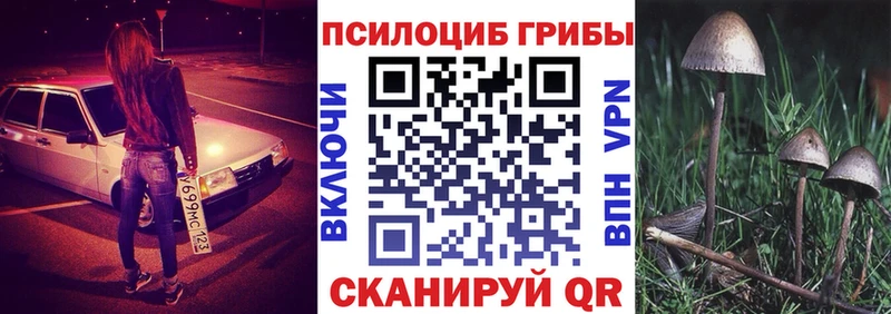 Псилоцибиновые грибы Psilocybine cubensis  Темрюк 
